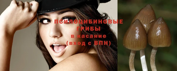 ALPHA PVP Арсеньев