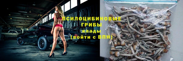 ГАЛЛЮЦИНОГЕННЫЕ ГРИБЫ Алексин