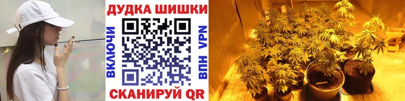 даркнет сайт  Могоча  OMG   Бошки Шишки марихуана 